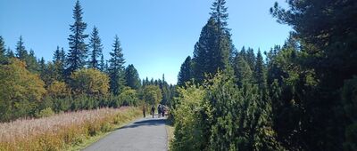 Popradská polana ↔ Odbočka Zimnej cesty na Štrbské Pleso