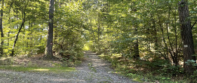Rozdroże pod Stolną