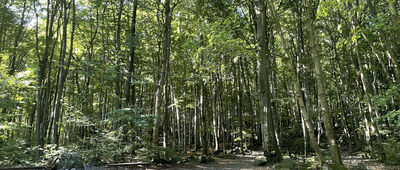 Rozdroże pod Kamiennym Krzyżem