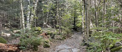 Rozejście szlaków pod Ślężą ↔ Rozdroże pod Kamiennym Krzyżem