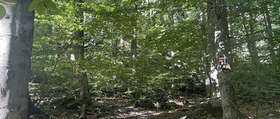 Ślęża, rozejście szlaków