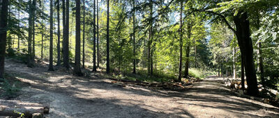 Źródło Klasztorne