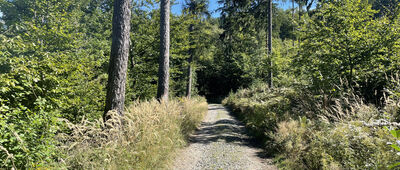 Dom Turysty Pod Wieżycą ↔ Źródło Klasztorne