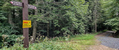 Skrzyżowanie przy polanie Jaworzyna Porębska [Skrzyżowanie przy Polanie Jaworzyna Porębska]