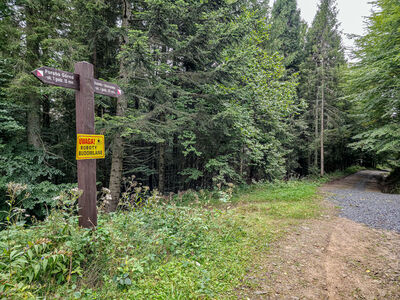Skrzyżowanie przy Polanie Jaworzyna Porębska