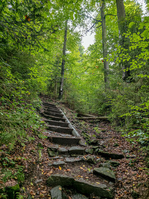 Podejście zielonym szlakiem na Obidowiec