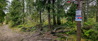 Obidowiec [Skrzyżowanie szlaków na Obidowcu]