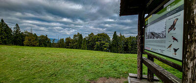 Obidowiec ↔ Rozdziele [Polana Obidowiec]