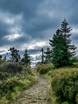 Turbacz 1310 m n.p.m.