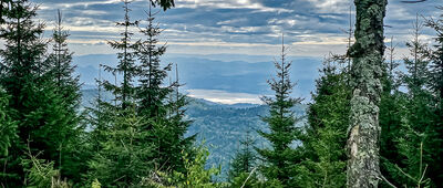 Turbacz [Jezioro Czorsztyńskie z Turbacza]