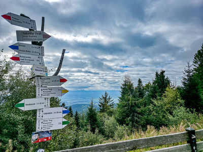 Taras widokowy pod Schroniskiem PTTK na Turbaczu i Tatry za chmurami