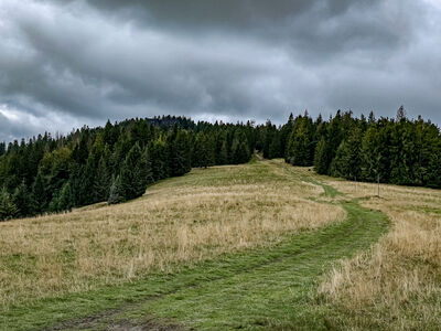 Hala Długa