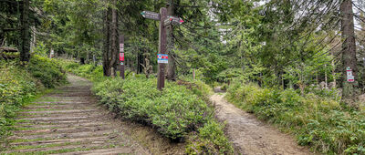Polana Gabrowska [Rozejście szlaków przy Polanie Gabrowskiej]