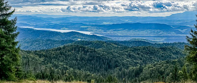 Kiczora [Jezioro Czorsztyńskie z Hali Młyńskiej pod Kiczorą]