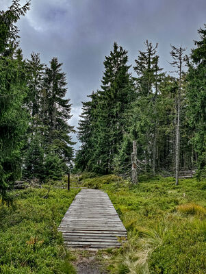 Torfowisko pod Trzema Kopcami