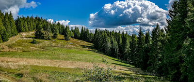 Polana Jaworzyna Kamienicka ↔ Polana Przysłop Dolny [Przysłop 1187 m n.p.m.]