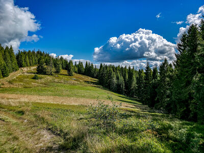 Przysłop 1187 m n.p.m.