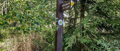 Polana Przysłop Dolny [Rozejście szlaków na Polanie Przysłop Dolny]