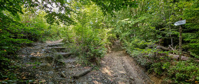 Polana Przysłop Dolny ↔ Skrzyżowanie pod Gorcem [Skrót do Bazy namiotowej Gorc]