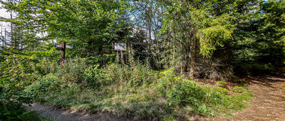 Skrzyżowanie pod Gorcem [Skrzyżowanie pod Gorcem]