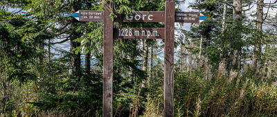 Gorc [Gorc 1228 m n.p.m.]