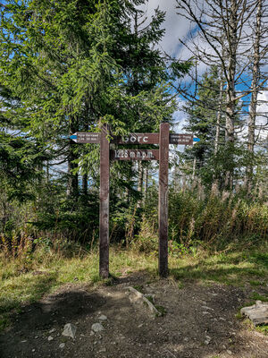 Gorc 1228 m n.p.m.
