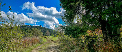 Gorc Kamienicki [Hala Gorc Kamienicki]