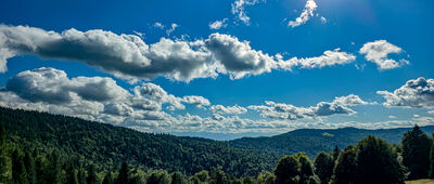 Granica Gorczańskiego Parku Narodowego ↔ Gorc Kamienicki [Polana pod Głębieńcem]