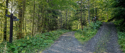 Skrzyżowanie pod Stawieńcem [Skrzyżowanie pod Stawieńcem]