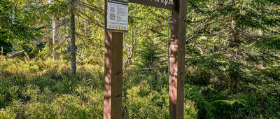 Przełęcz Borek [Przełęcz Borek]