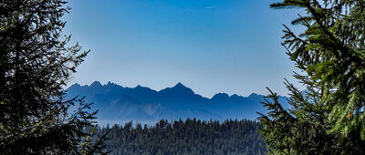 Przełęcz Borek ↔ Pustak [Tatry z Polany Pustak]