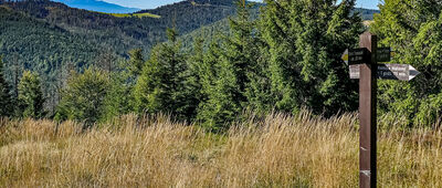 Pustak [Rozejście szlaków na Polanie Pustak]