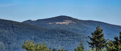 Skrzyżowanie przy polanie Kopa ↔ Pustak [Mogielica z Polany Kopa]