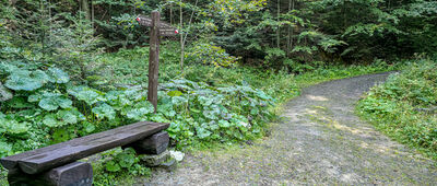 Brukowana Droga [Rozejście ścieżek edukacyjnych]