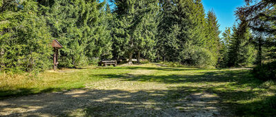 Przełęcz Borek [Polana Borek]