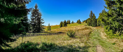 Hala Turbacz ↔ Przełęcz Borek [Hala Turbacz]