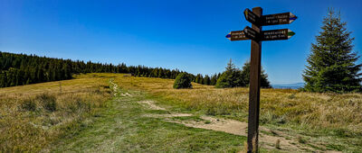 Hala Turbacz [Rozejście szlaków na Hali Turbacz]