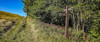 Polana Turbaczyk, rozejście szlaków [Rozejście szlaków na Polanie Turbaczyk]