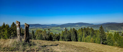 Polana Turbaczyk [Polana Turbaczyk z widokiem na Beskid Wyspowy]