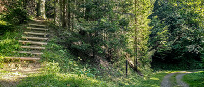 Skrzyżowanie szlaków [Skrzyżowanie szlaków pod Basielką]