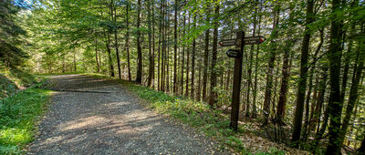 Odejście ścieżki edukacyjnej [Odejście ścieżki edukacyjnej]