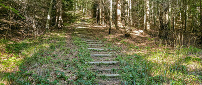 Odejście ścieżki edukacyjnej [Odejście ścieżki edukacyjnej]
