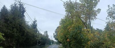 Przyszowice, ul. Graniczna