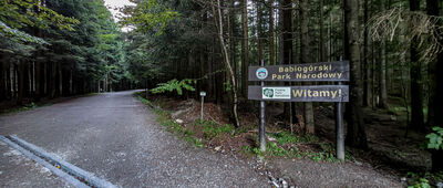 Zawoja, Markowa [Zielony szlak (Zawoja Markowa)]