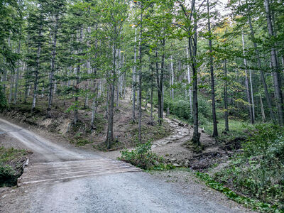 Zielony szlak wysokości ok. 900 m n.p.m.