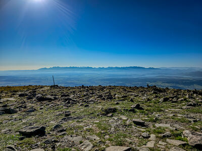 Panorama Tatr z Babiej Góry