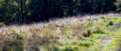 Kocierz Górny ↔ Kucówki