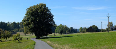 Na Stráži ↔ Jablonec Nad Jizerou, rozejście szlaków