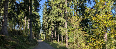 Na Stráži ↔ Stráž