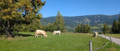 Nad Hornou Vsou ↔ Na Stráži